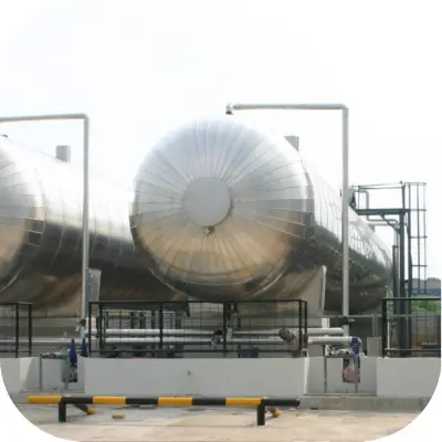 Pentair Water Treatment 50 Mt X 2 Co2 Plant